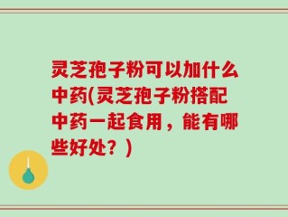 灵芝孢子粉可以加什么中药(灵芝孢子粉搭配中药一起食用，能有哪些好处？)