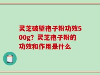 灵芝破壁孢子粉功效500g？灵芝孢子粉的功效和作用是什么