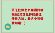 灵芝杜仲怎么用最好呢视频(灵芝杜仲的最佳使用方法，看这个视频就知道！)