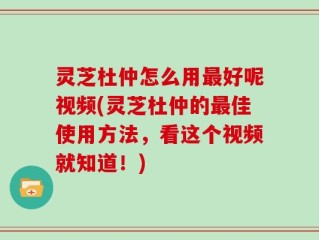 灵芝杜仲怎么用最好呢视频(灵芝杜仲的最佳使用方法，看这个视频就知道！)