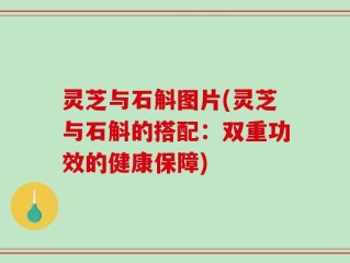 灵芝与石斛图片(灵芝与石斛的搭配：双重功效的健康保障)