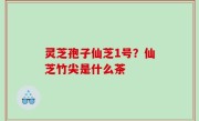 灵芝孢子仙芝1号？仙芝竹尖是什么茶