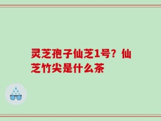 灵芝孢子仙芝1号？仙芝竹尖是什么茶