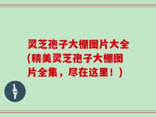 灵芝孢子大棚图片大全(精美灵芝孢子大棚图片全集，尽在这里！)