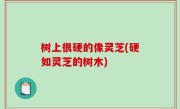 树上很硬的像灵芝(硬如灵芝的树木)