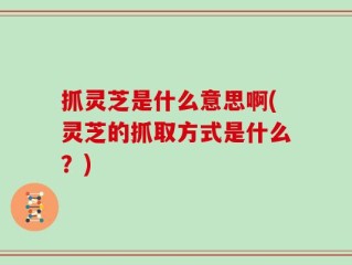 抓灵芝是什么意思啊(灵芝的抓取方式是什么？)