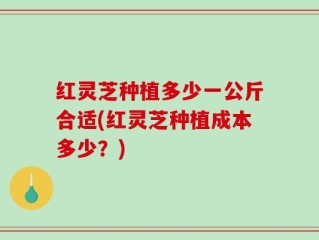 红灵芝种植多少一公斤合适(红灵芝种植成本多少？)