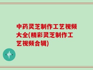 中药灵芝制作工艺视频大全(精彩灵芝制作工艺视频合辑)