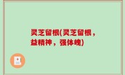 灵芝留根(灵芝留根，益精神，强体魄)