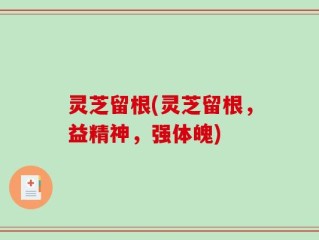 灵芝留根(灵芝留根，益精神，强体魄)