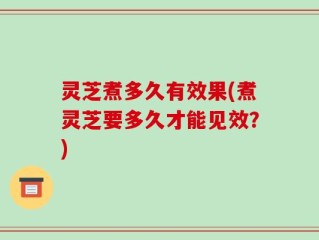 灵芝煮多久有效果(煮灵芝要多久才能见效？)
