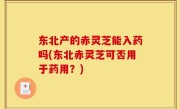 东北产的赤灵芝能入药吗(东北赤灵芝可否用于药用？)