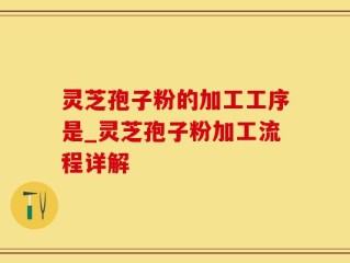 灵芝孢子粉的加工工序是_灵芝孢子粉加工流程详解