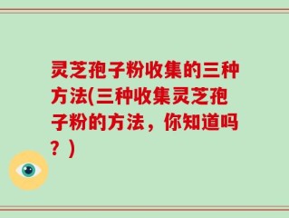 灵芝孢子粉收集的三种方法(三种收集灵芝孢子粉的方法，你知道吗？)