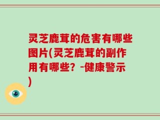 灵芝鹿茸的危害有哪些图片(灵芝鹿茸的副作用有哪些？-健康警示)