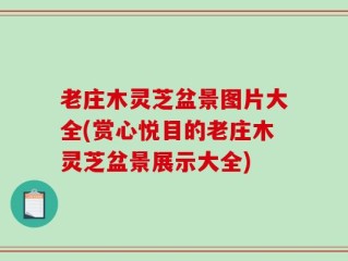 老庄木灵芝盆景图片大全(赏心悦目的老庄木灵芝盆景展示大全)