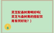 灵芝配桑树黄喝好吗(灵芝与桑树黄的搭配饮用有何好处？)