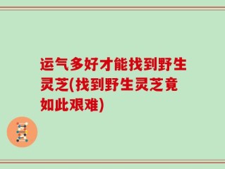运气多好才能找到野生灵芝(找到野生灵芝竟如此艰难)