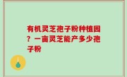 有机灵芝孢子粉种植园？一亩灵芝能产多少孢子粉