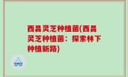 西昌灵芝种植菌(西昌灵芝种植菌：探索林下种植新路)