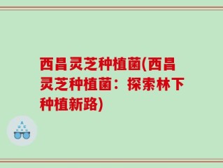 西昌灵芝种植菌(西昌灵芝种植菌：探索林下种植新路)