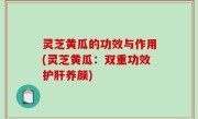 灵芝黄瓜的功效与作用(灵芝黄瓜：双重功效护肝养颜)