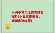 人间小白灵芝美食推荐图片(小白灵芝美食，瞬间点亮味蕾)