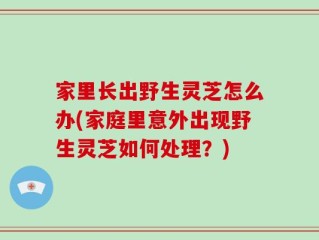 家里长出野生灵芝怎么办(家庭里意外出现野生灵芝如何处理？)