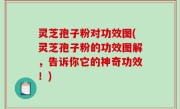 灵芝孢子粉对功效图(灵芝孢子粉的功效图解，告诉你它的神奇功效！)