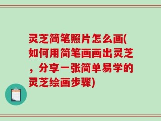 灵芝简笔照片怎么画(如何用简笔画画出灵芝，分享一张简单易学的灵芝绘画步骤)