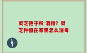 灵芝孢子粉 酒精？灵芝种植在家里怎么消毒