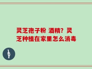 灵芝孢子粉 酒精？灵芝种植在家里怎么消毒
