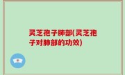 灵芝孢子肺部(灵芝孢子对肺部的功效)