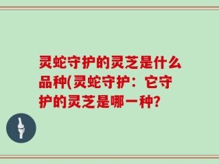 灵蛇守护的灵芝是什么品种(灵蛇守护：它守护的灵芝是哪一种？