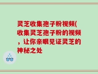 灵芝收集孢子粉视频(收集灵芝孢子粉的视频，让你亲眼见证灵芝的神秘之处