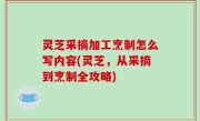 灵芝采摘加工烹制怎么写内容(灵芝，从采摘到烹制全攻略)