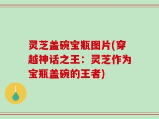 灵芝盖碗宝瓶图片(穿越神话之王：灵芝作为宝瓶盖碗的王者)