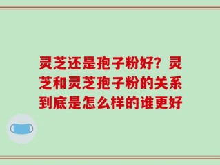 灵芝还是孢子粉好？灵芝和灵芝孢子粉的关系到底是怎么样的谁更好