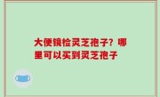 大便镜检灵芝孢子？哪里可以买到灵芝孢子