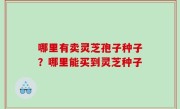 哪里有卖灵芝孢子种子？哪里能买到灵芝种子