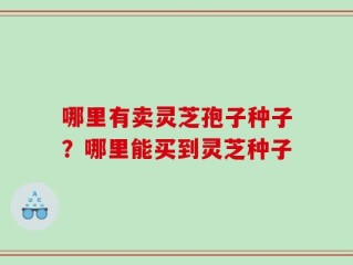哪里有卖灵芝孢子种子？哪里能买到灵芝种子