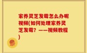 家养灵芝发霉怎么办呢视频(如何处理家养灵芝发霉？——视频教程)