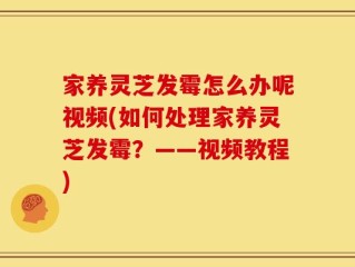 家养灵芝发霉怎么办呢视频(如何处理家养灵芝发霉？——视频教程)