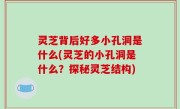 灵芝背后好多小孔洞是什么(灵芝的小孔洞是什么？探秘灵芝结构)