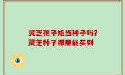 灵芝孢子能当种子吗？灵芝种子哪里能买到