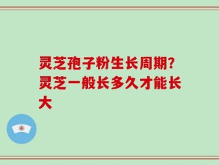 灵芝孢子粉生长周期？灵芝一般长多久才能长大