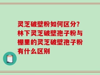 灵芝破壁粉如何区分？林下灵芝破壁孢子粉与棚里的灵芝破壁孢子粉有什么区别