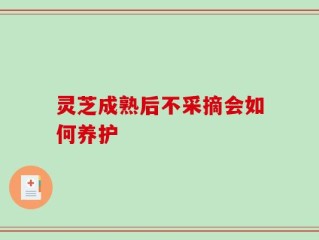灵芝成熟后不采摘会如何养护