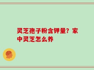灵芝孢子粉含钾量？家中灵芝怎么养