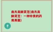 南方高脚灵芝(南方高脚灵芝：一种珍贵的药用真菌)